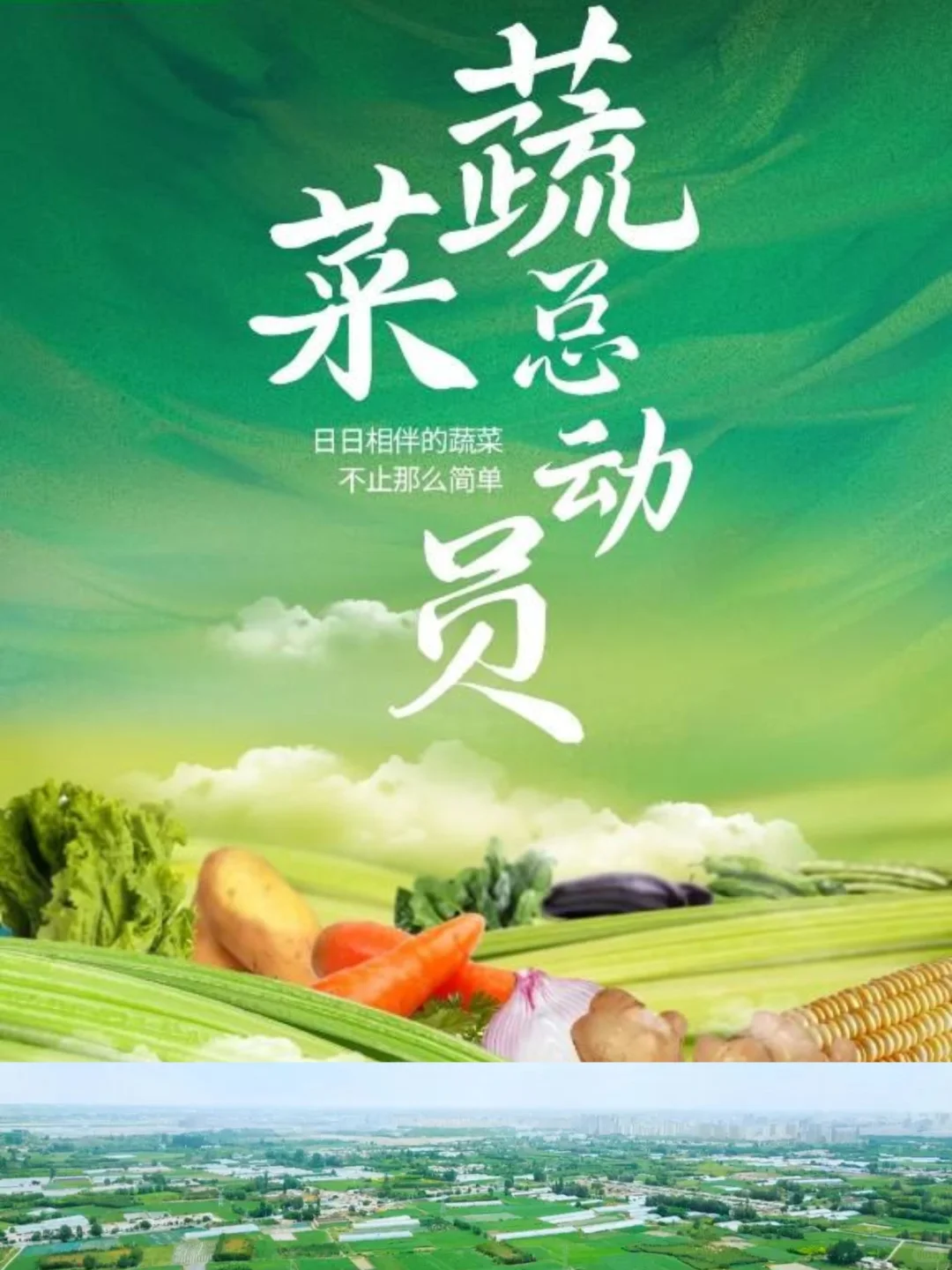 妈耶?最讨厌的蔬菜拍成了纪录片?‼️