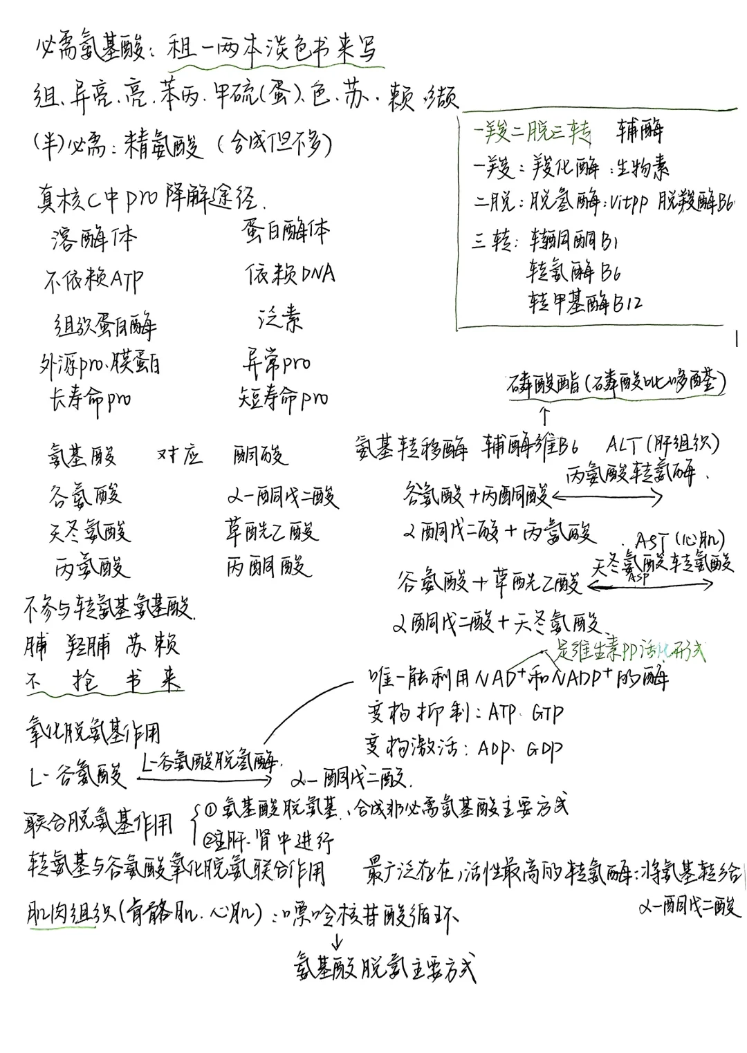 生物化学|笔记合集