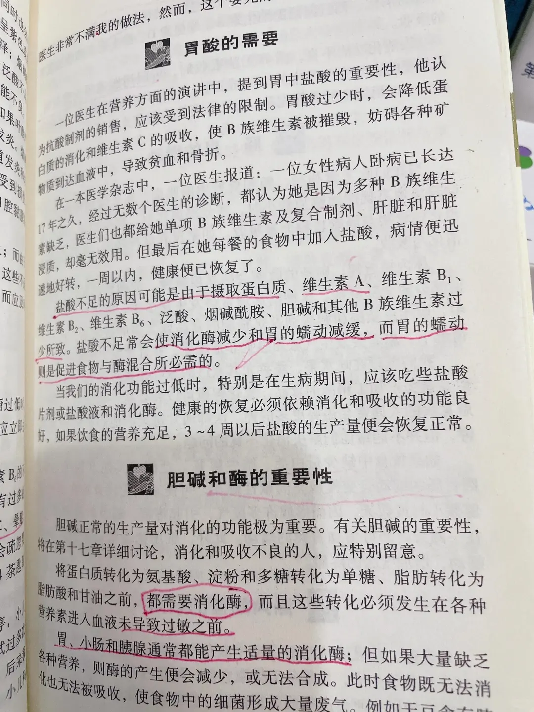 用好B族维生素,消化问题好大半,亲测有效