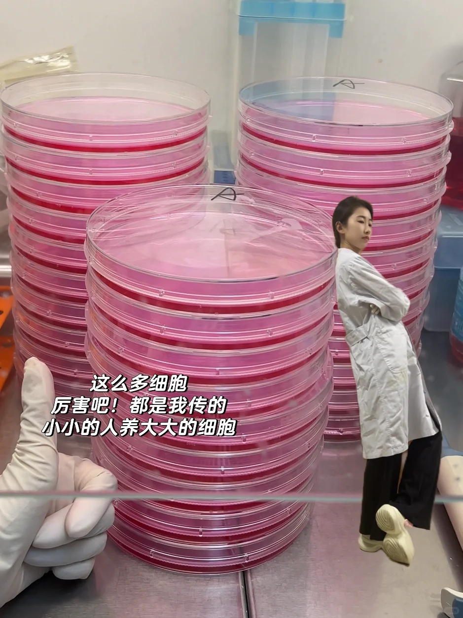 去实验室拍小人国写真！附实验仪器使用教程