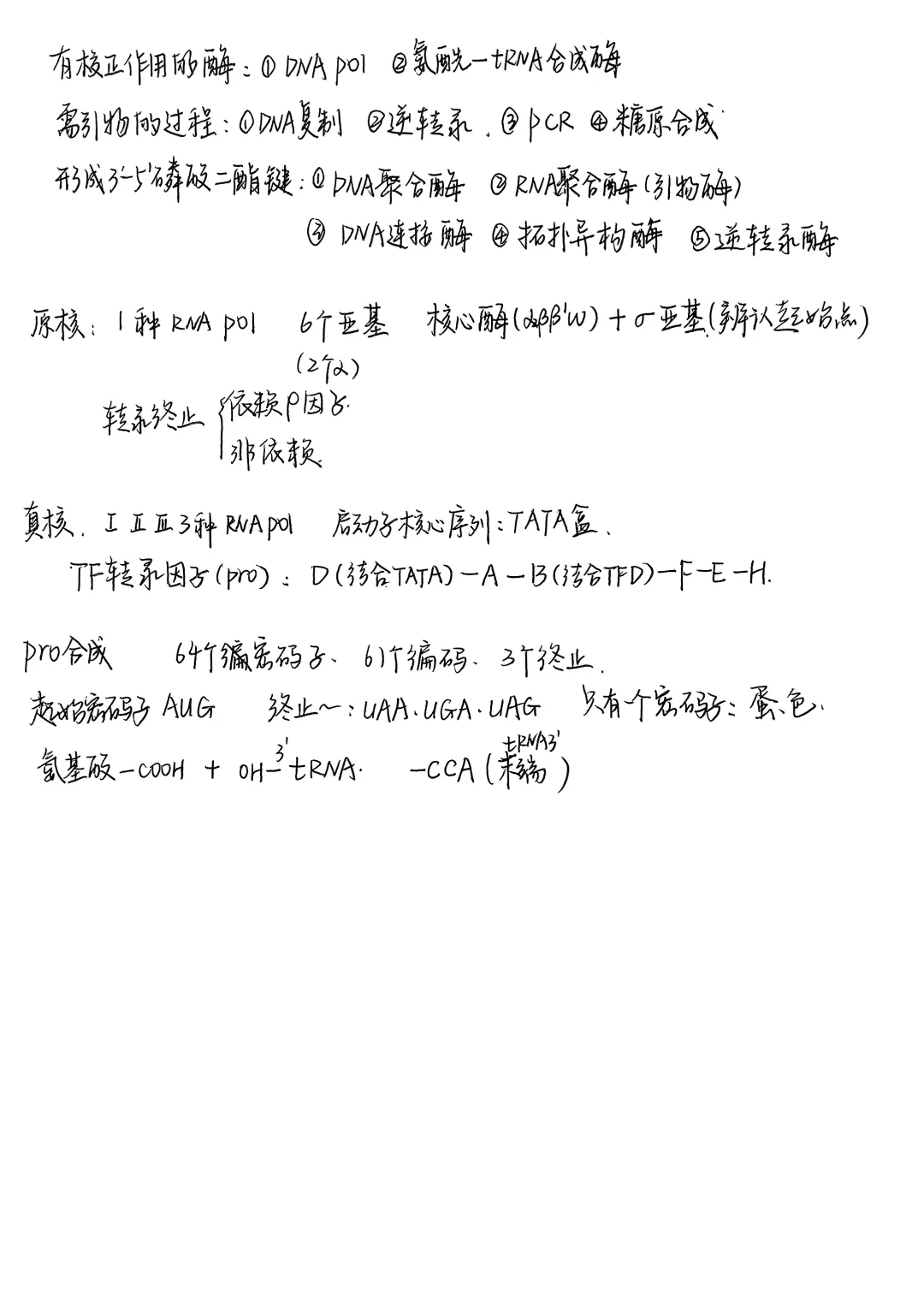 生物化学|笔记合集