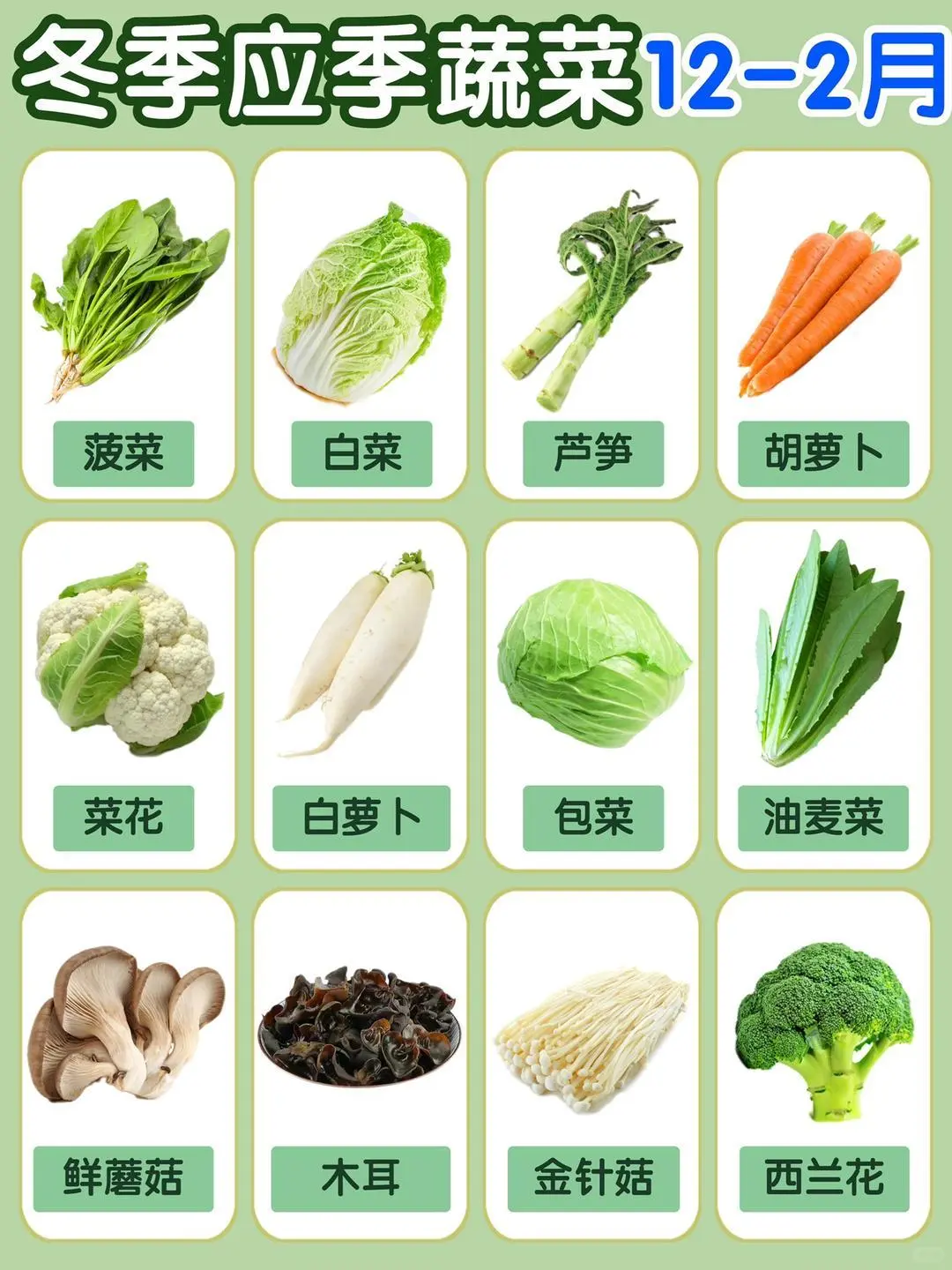 应季蔬菜时间表