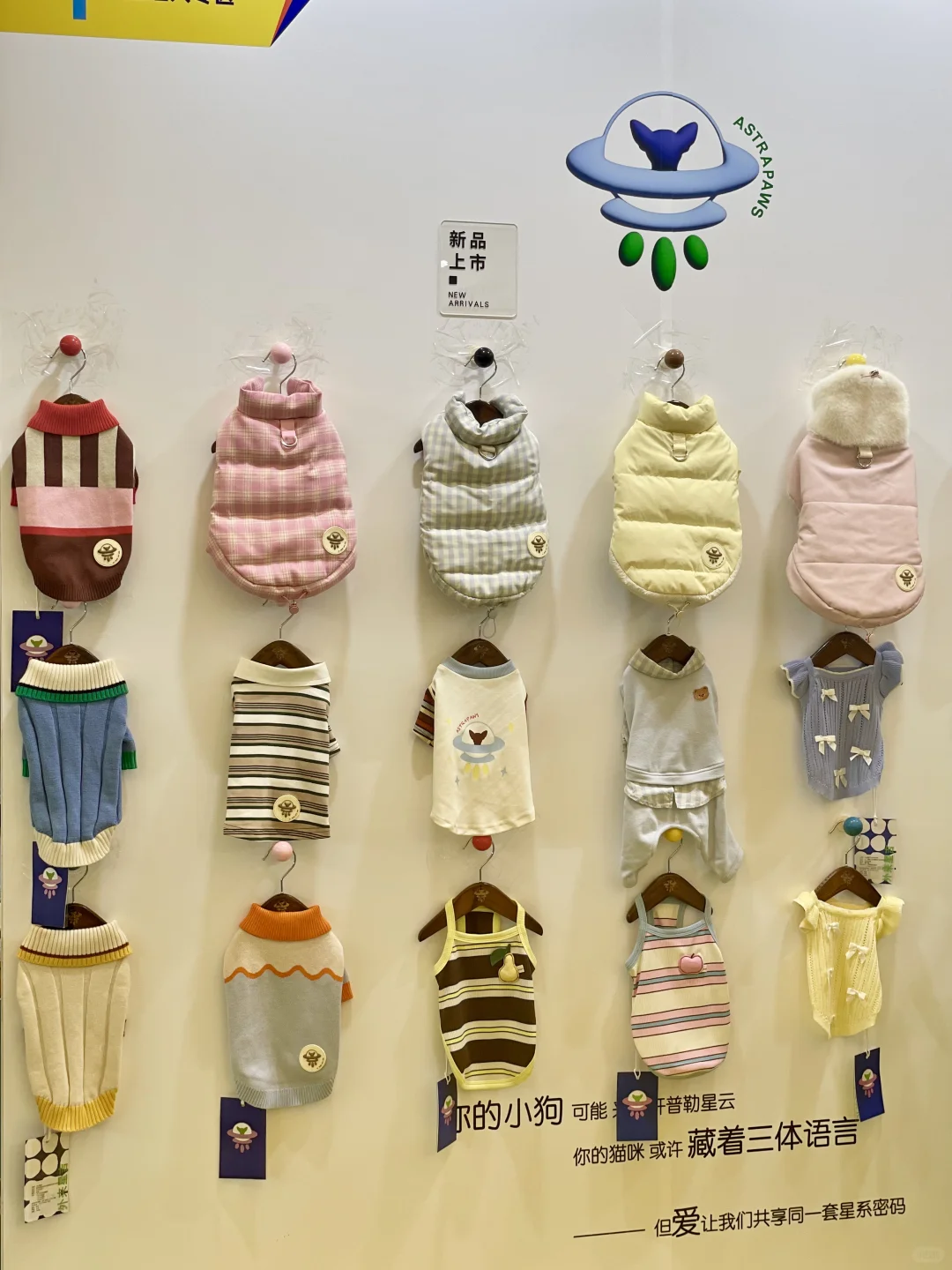亚宠展结束了?主理人专区展商来总结