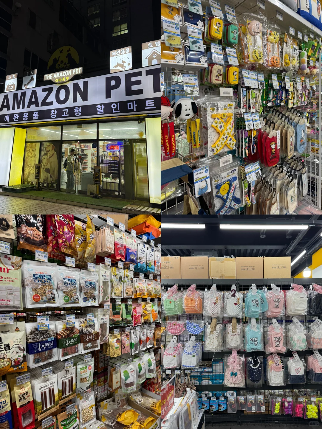 养狗人济州岛打猎攻略?勇闯?家店宠物店！