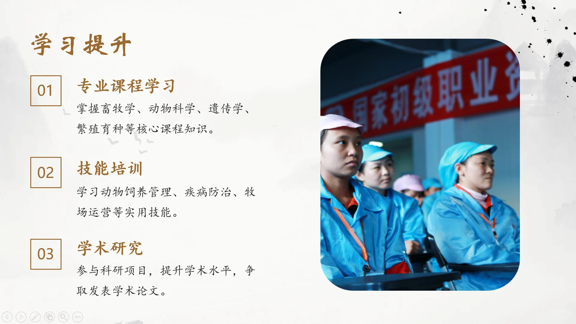 畜牧业职业规划PPT