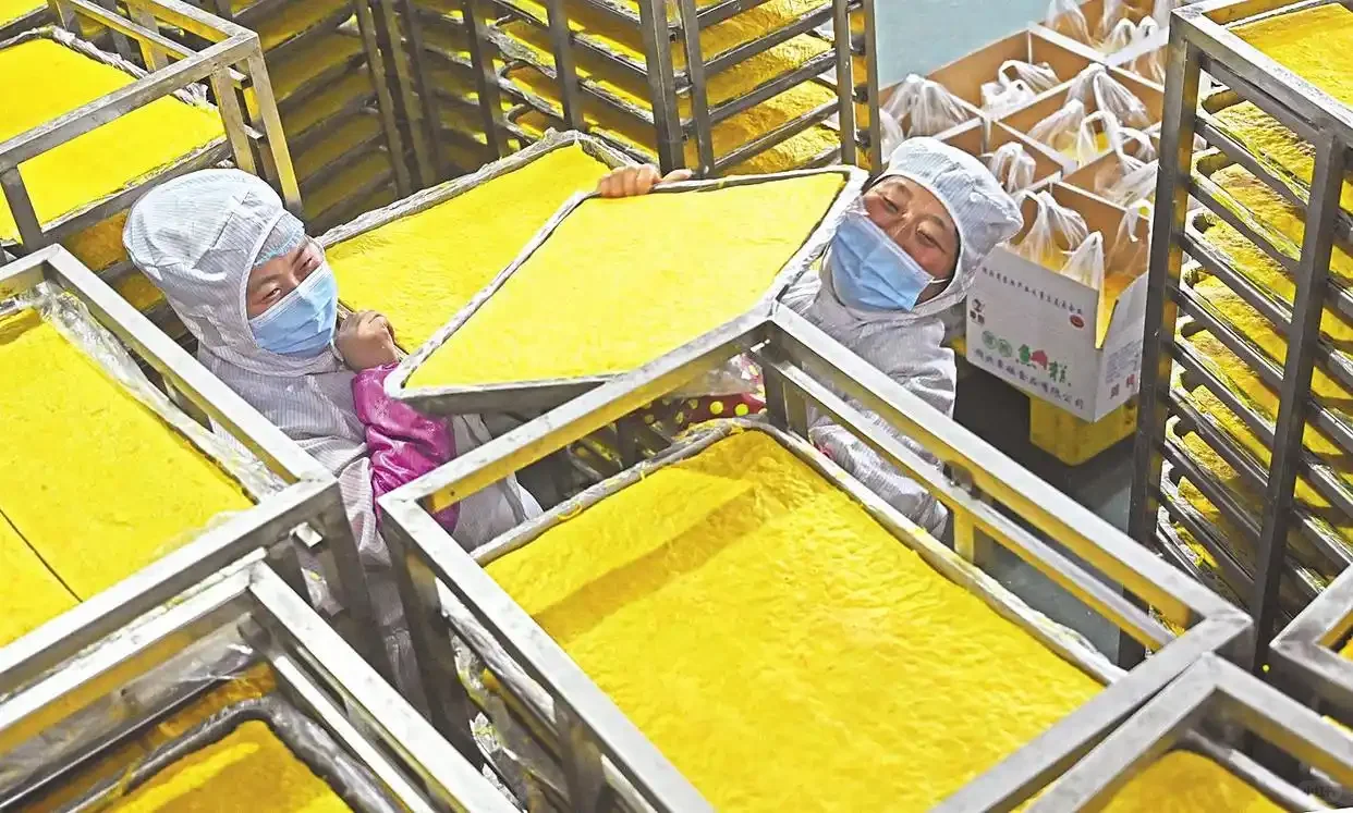 湖北荆州鱼糕：传统美味的工业化新征程