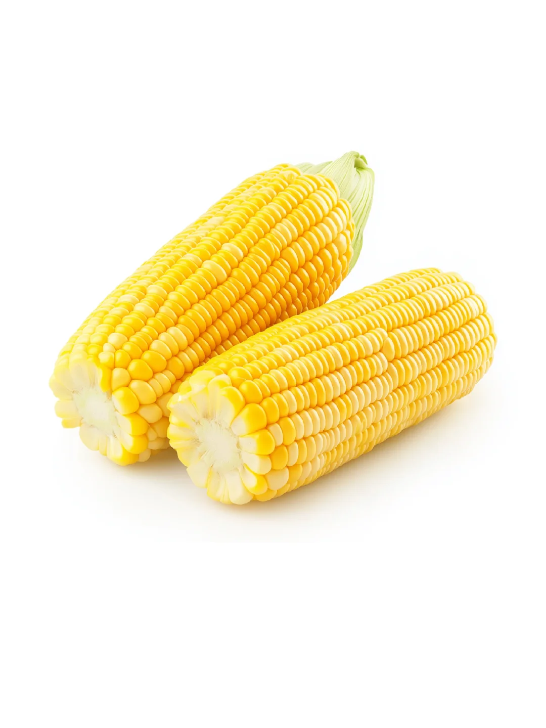 ??????? 白底头像