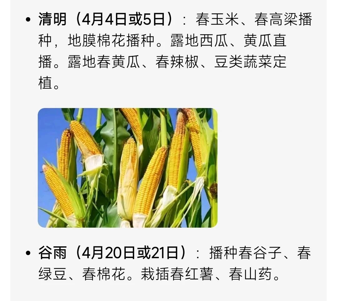 山东烟台二十四节气种菜时间
