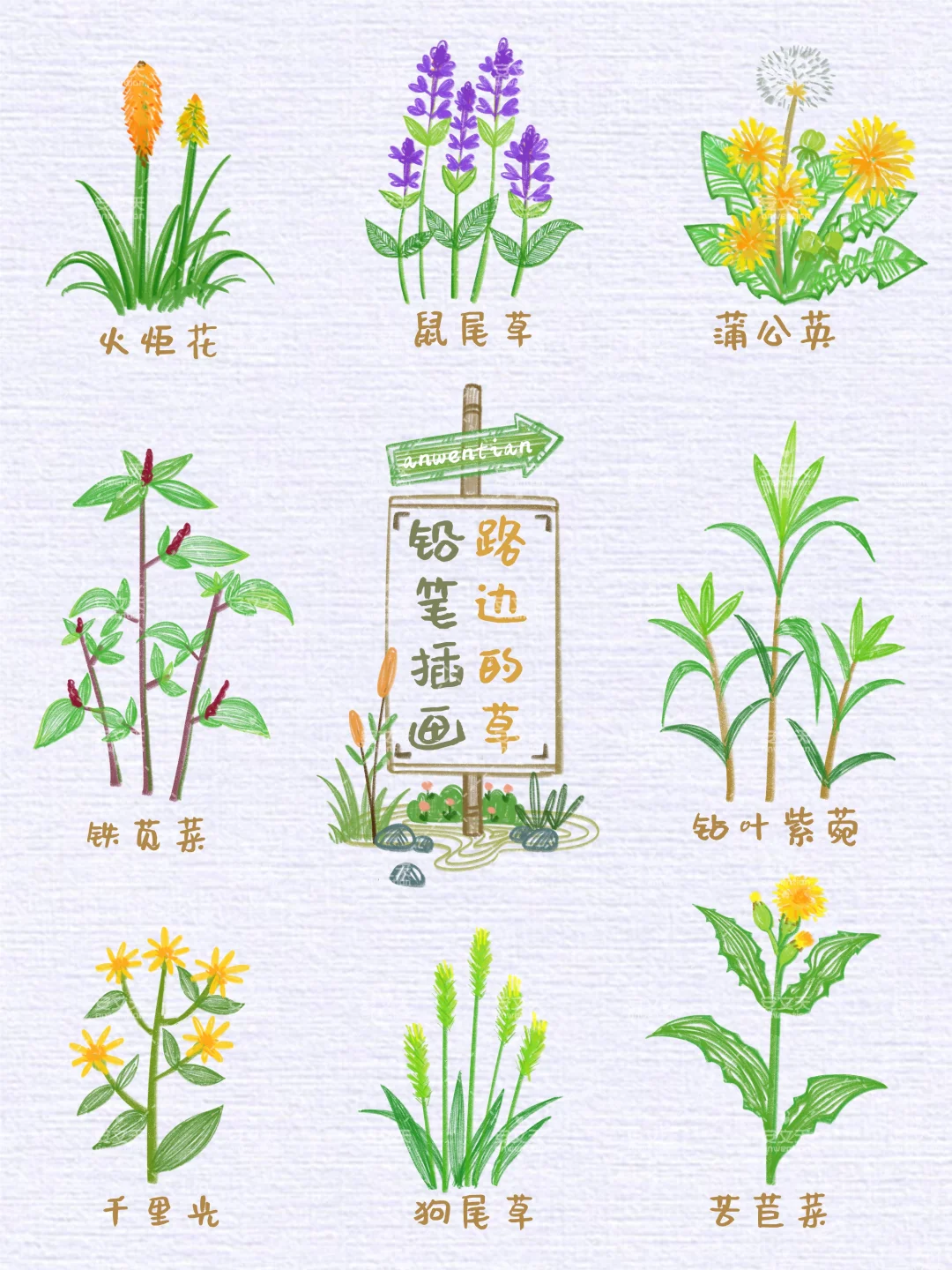 【厨房的菜】厨房食材蔬菜调味料铅笔插画