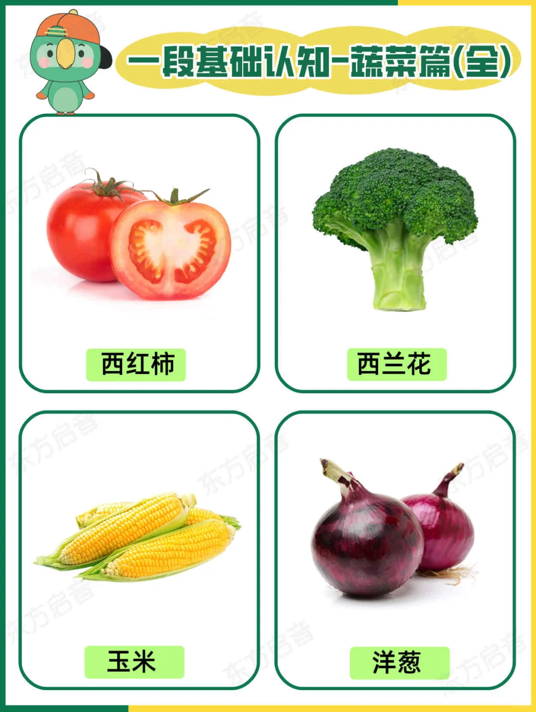 ?自闭症宝宝一段基础认知｜蔬菜篇（全）?