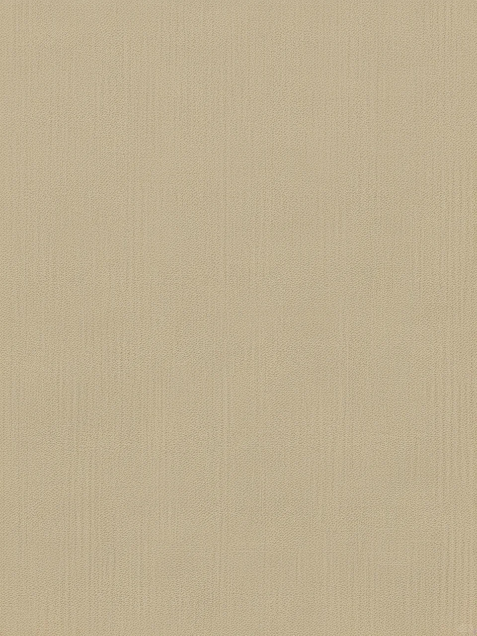 Day67｜米黄色布纹