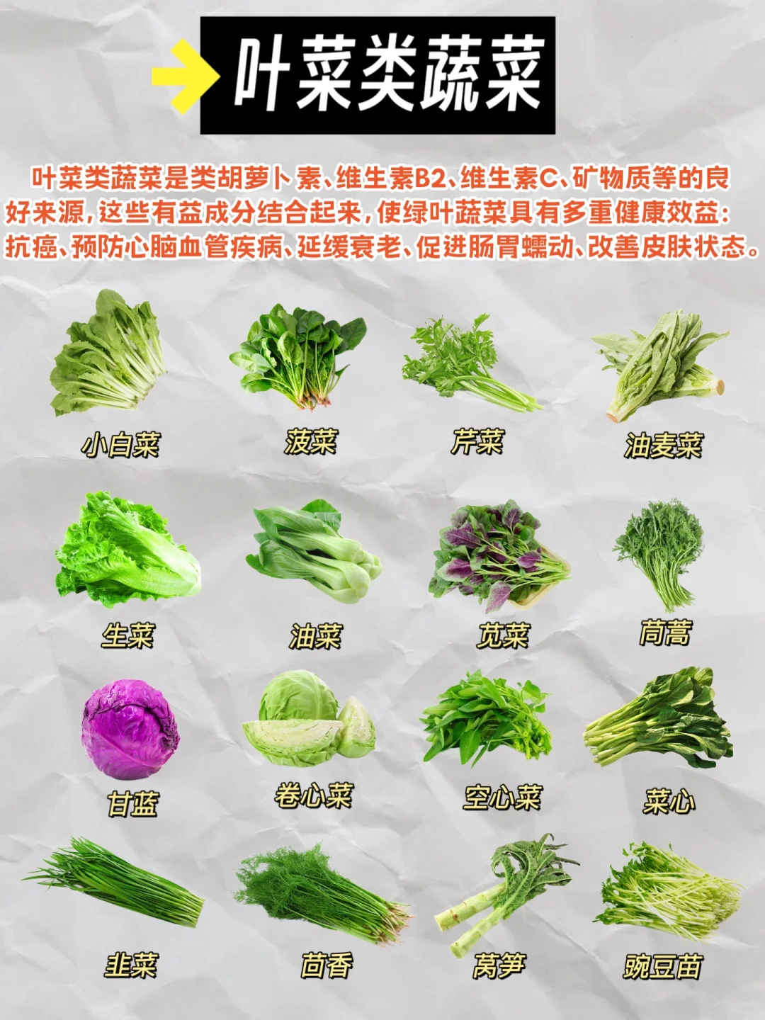 我敢说这是小红书最全的蔬菜分类介绍