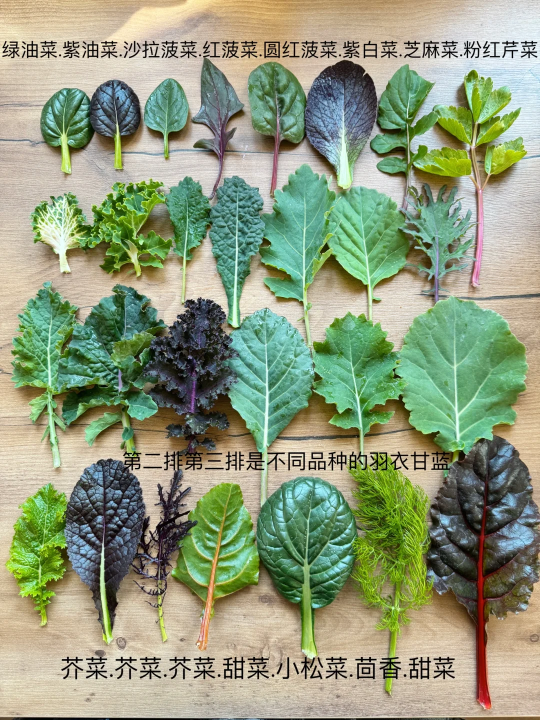 刷到什么学什么吧，教你认菜?