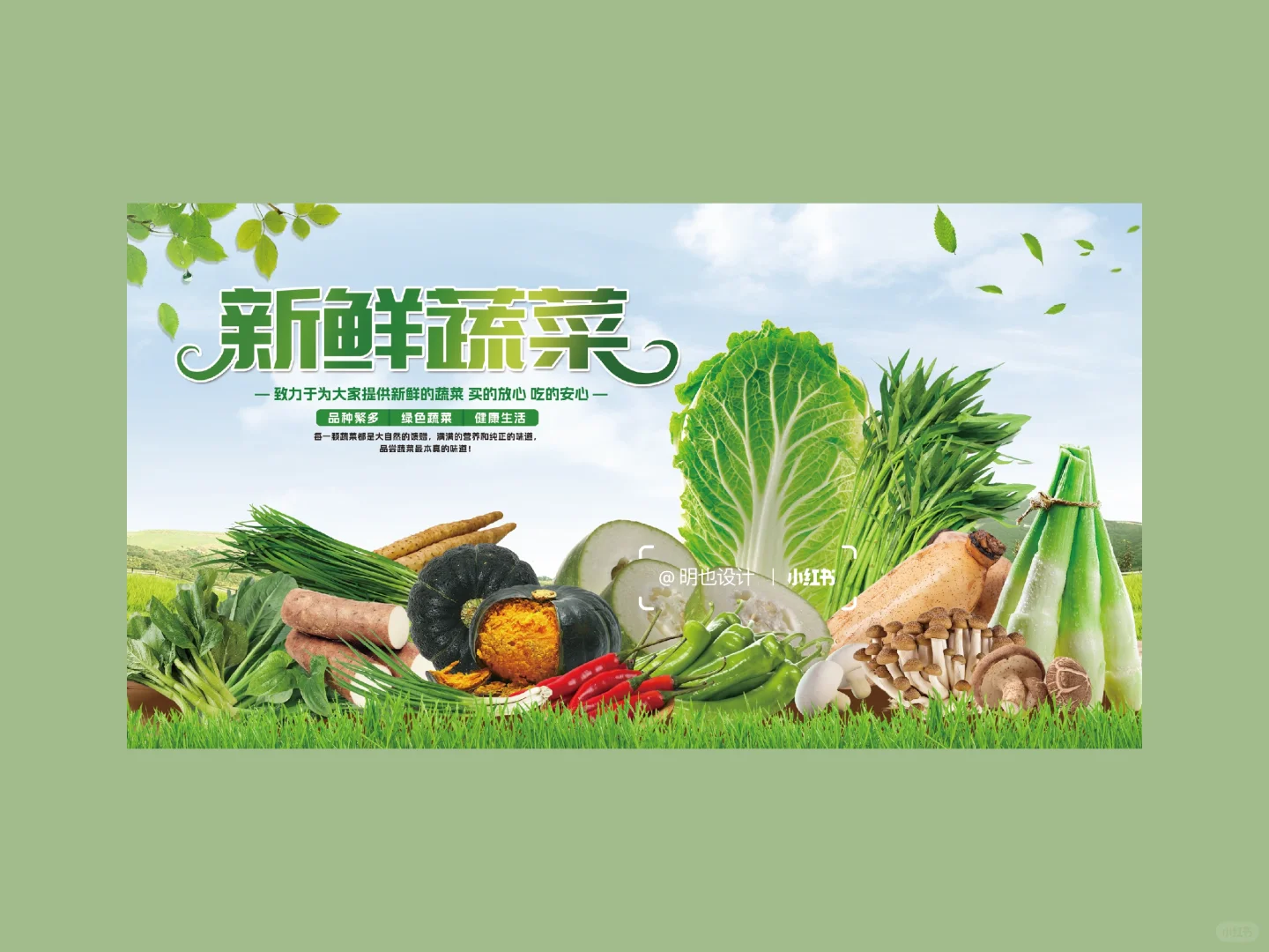 蔬菜海报