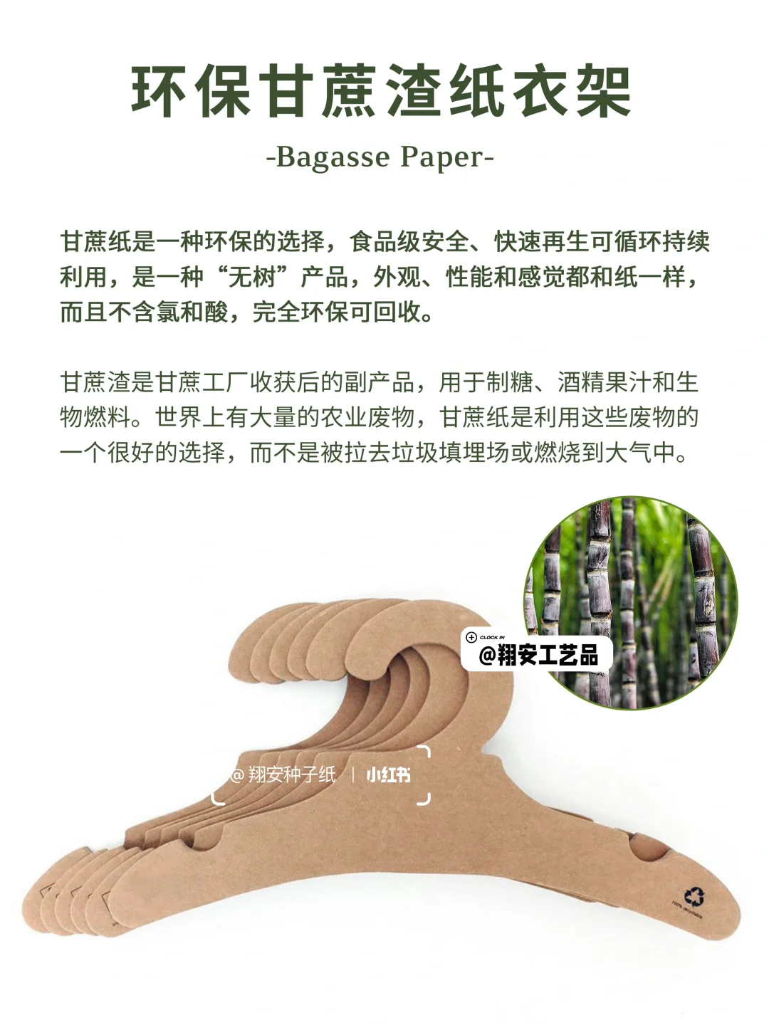 ?【环保新宠：甘蔗渣纸衣架】?100%可降解