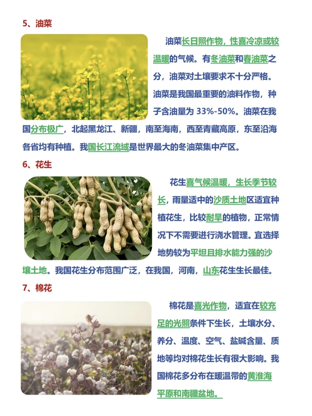 高考地理之农作物！超详细超有用❗️❗️