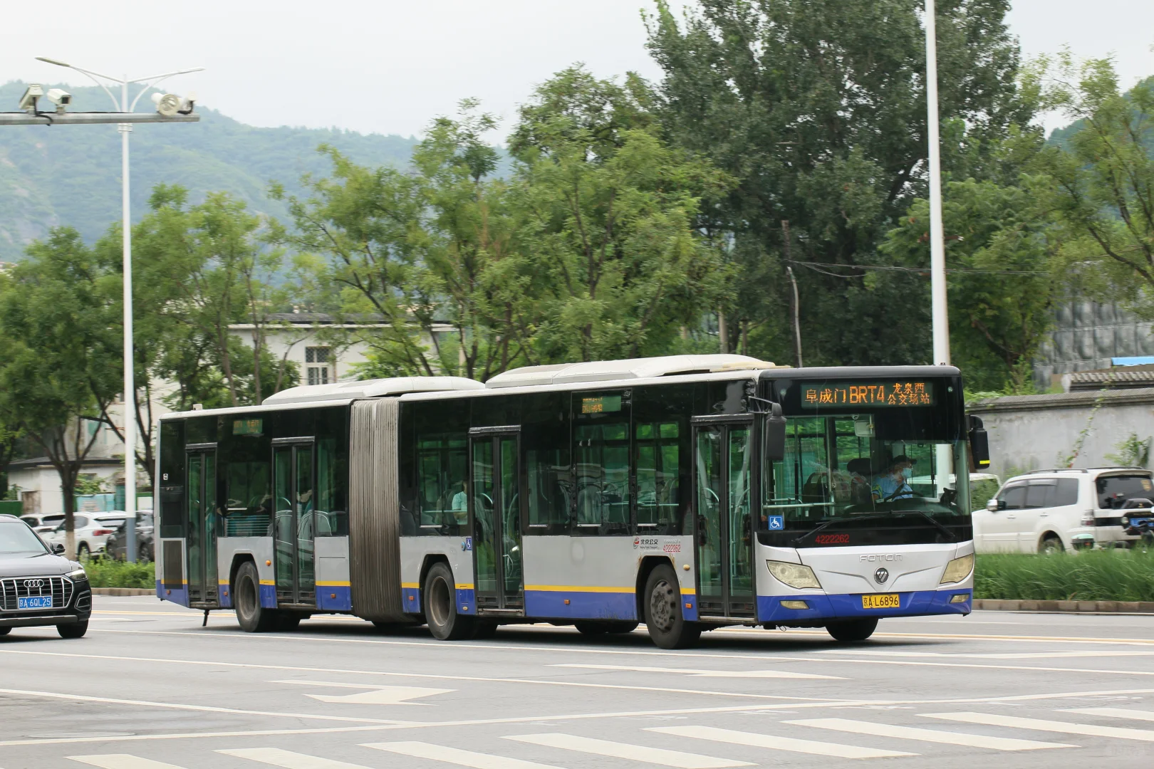 属于他们的最后一夏