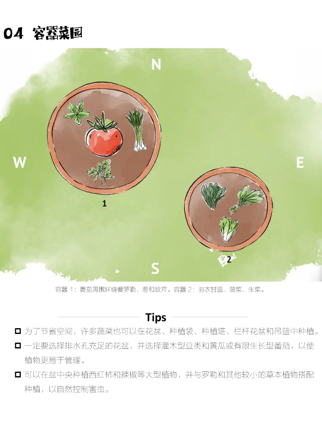 如何布置一个最佳收成的蔬菜花园