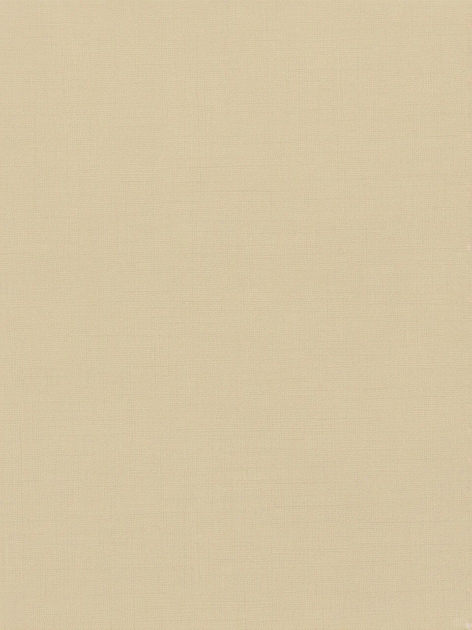 Day67｜米黄色布纹