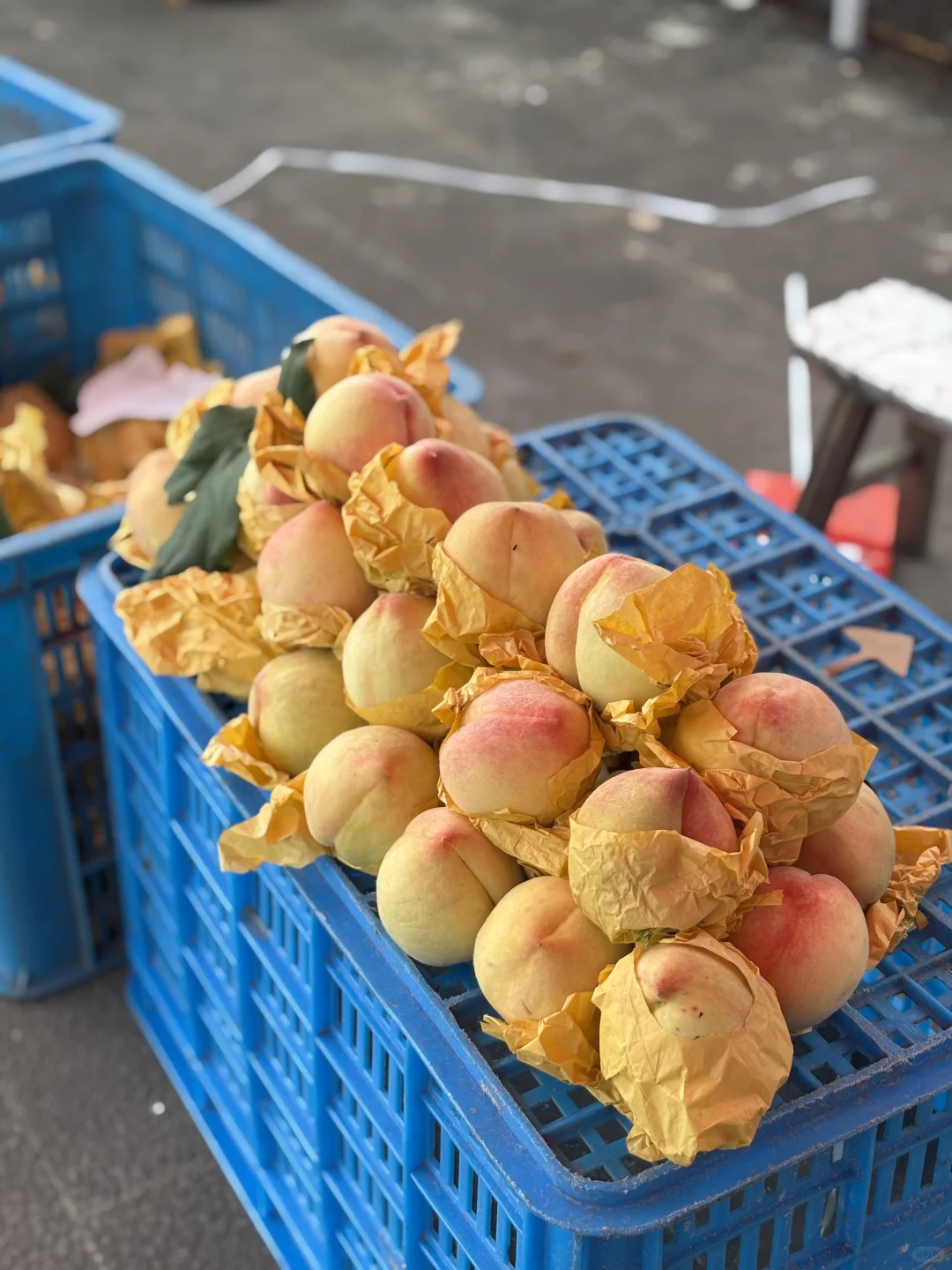 “建行裕农通杯”乡村振兴大赛——调研篇