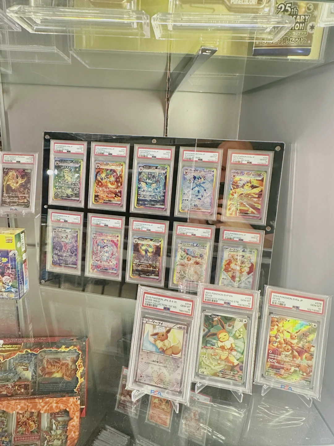 入坑宝可梦卡牌9个月的柜子长这样?