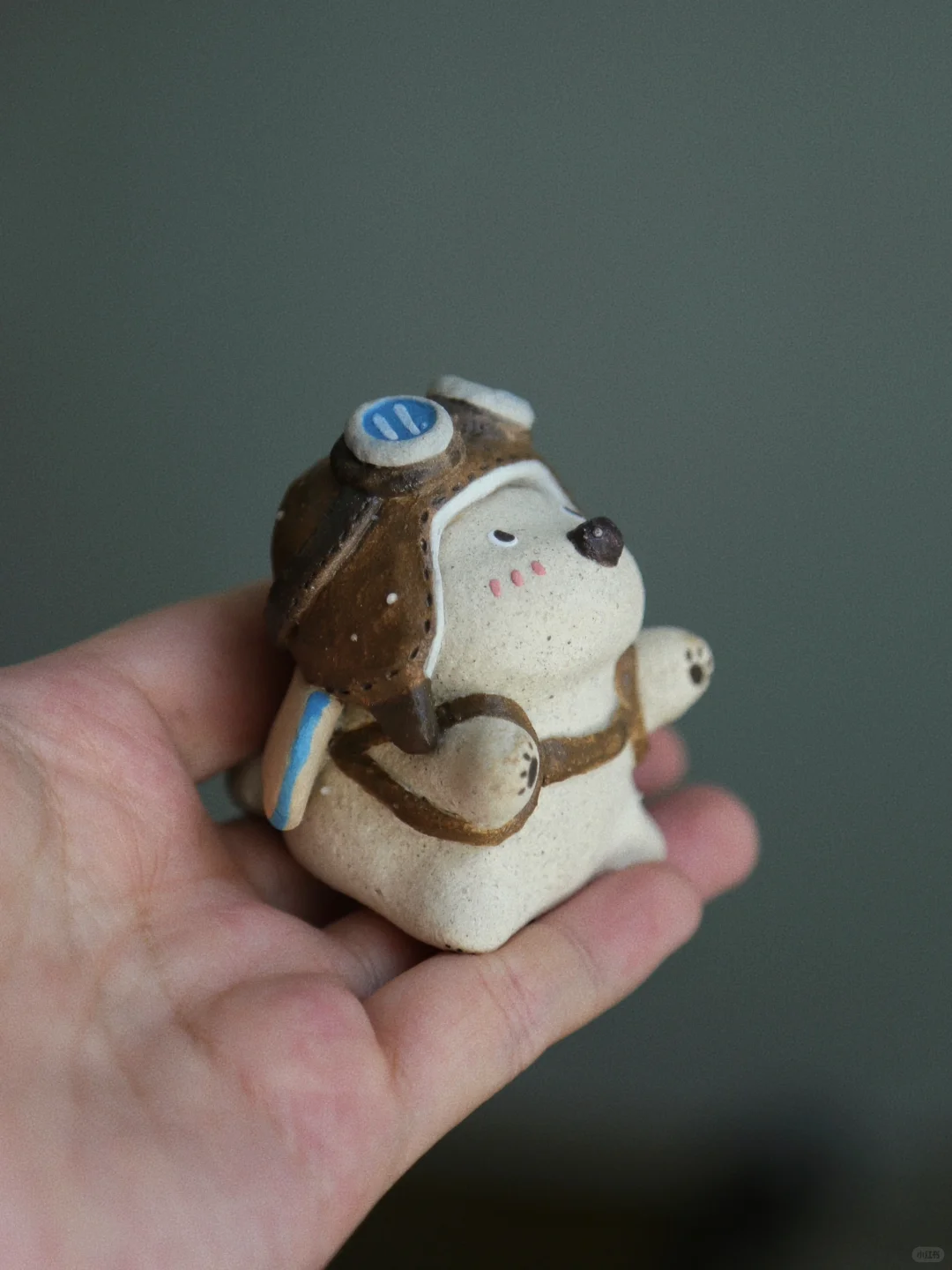 飞行员小狗☁️