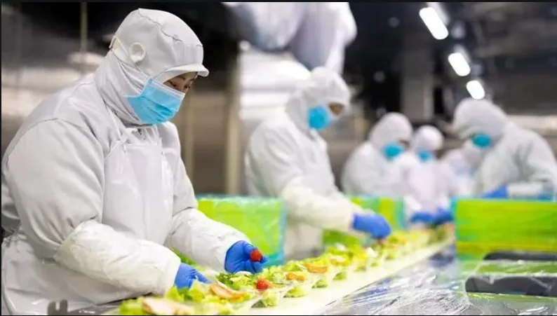 中央厨房：餐饮业的效率引擎