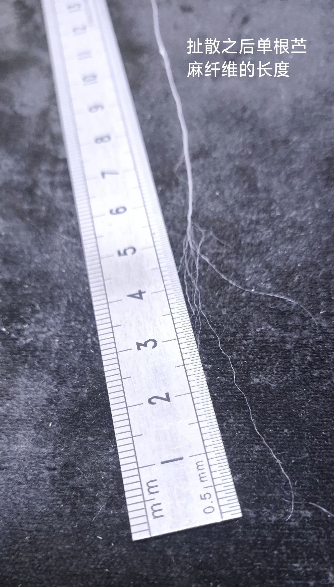 你的衣服真的是苎麻做的吗?一一苎麻鉴别篇