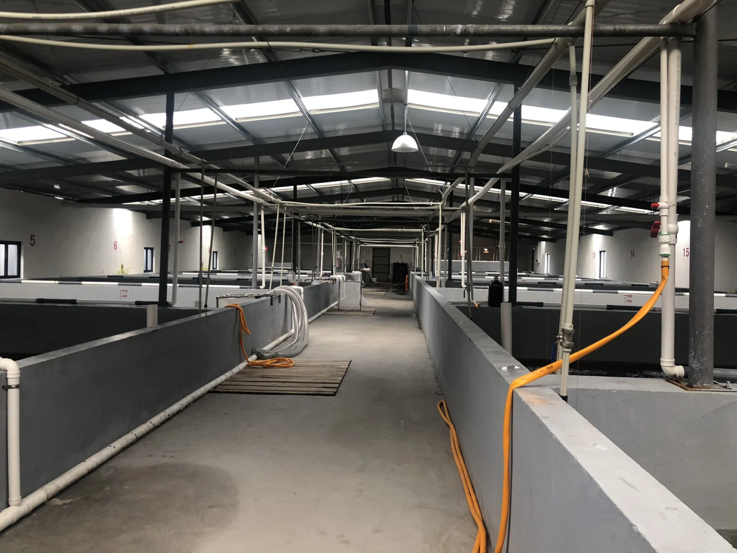 爸妈发家史之养殖业（1）