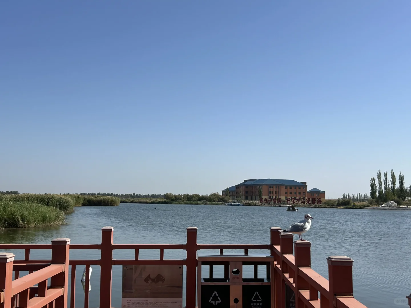 乌梁素海（内蒙·巴彦淖尔·乌拉特前旗）