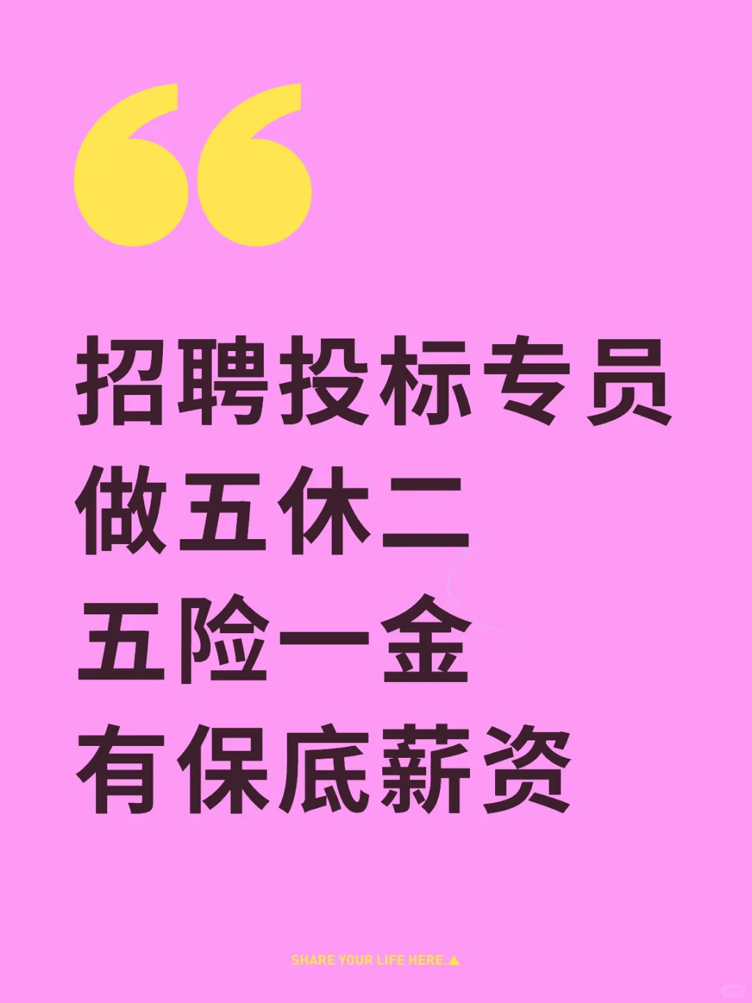 商务标、服务标标书专员招聘啦,双休五险