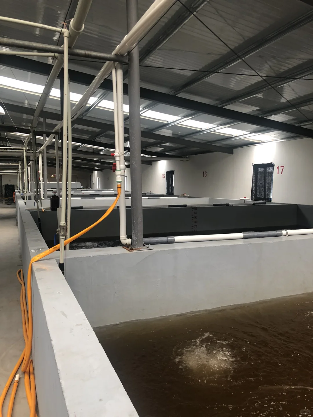 爸妈发家史之养殖业（1）