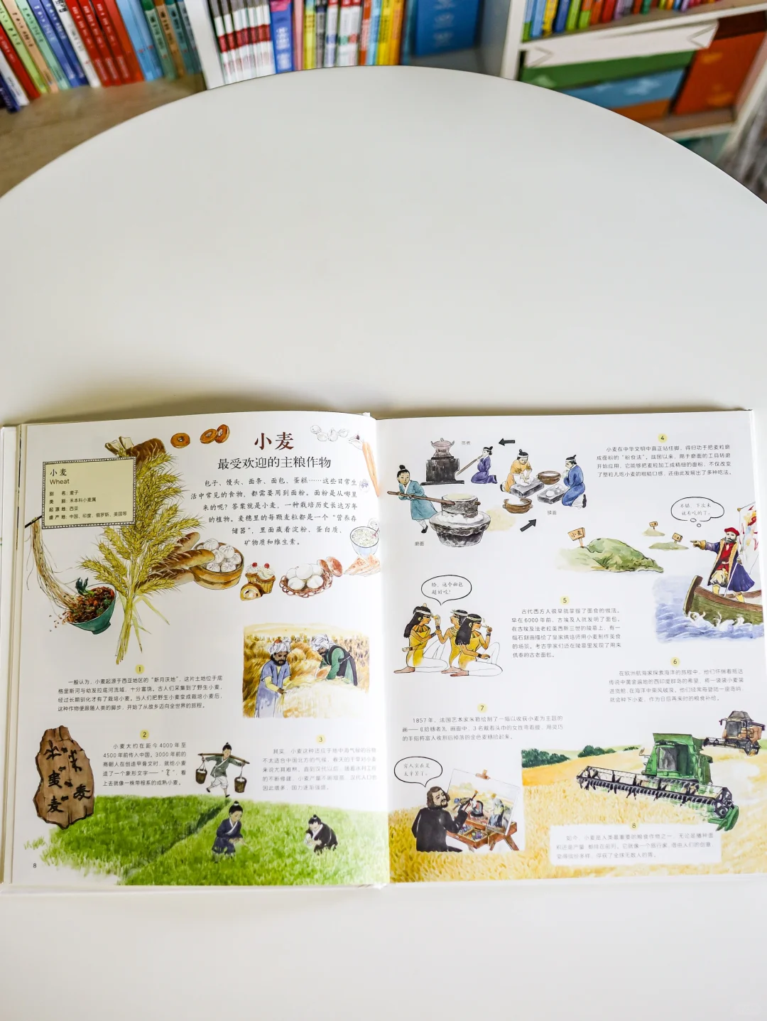 翻开《作物起源》解锁60种作物的环球旅行记！