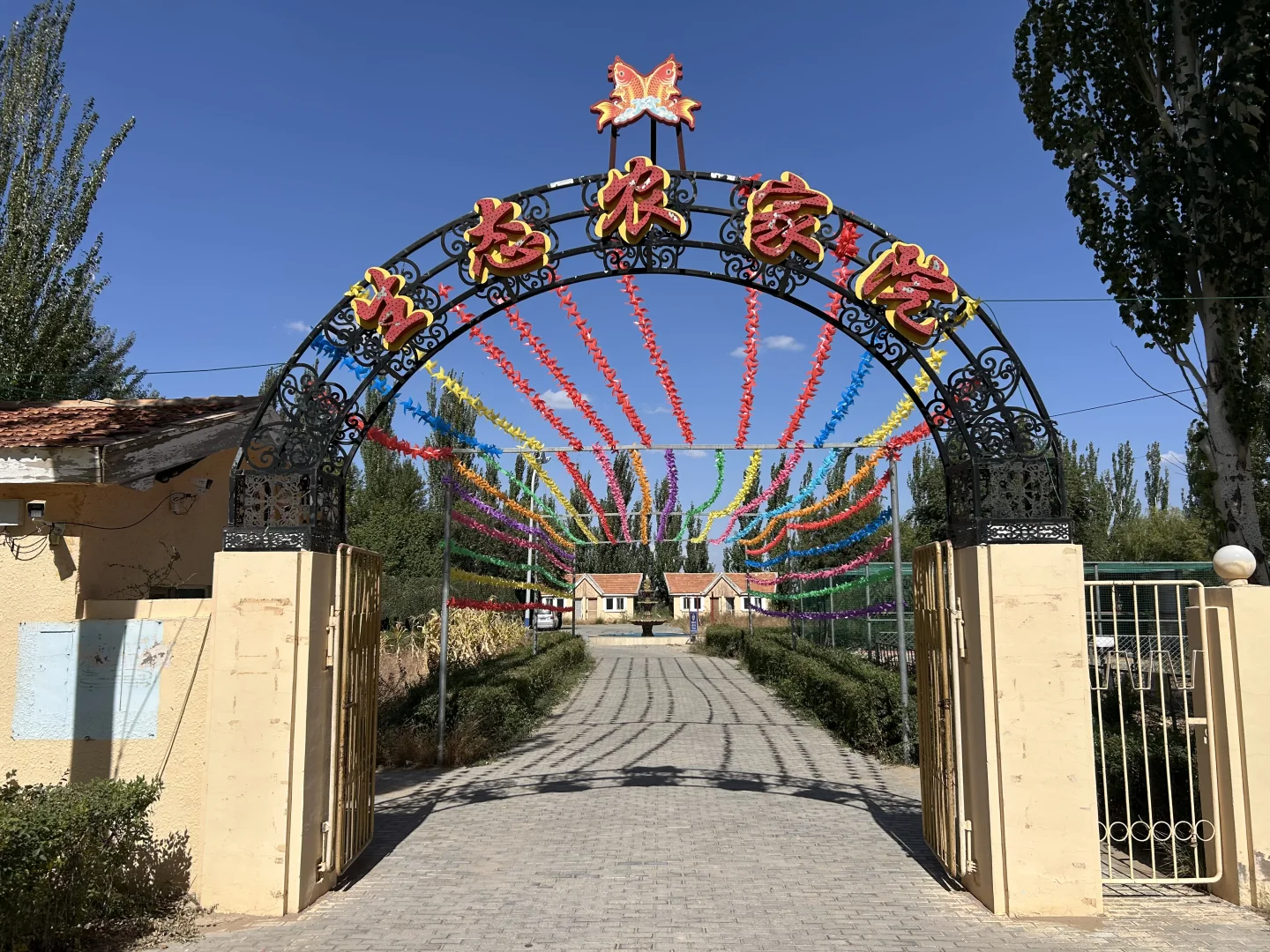 乌梁素海（内蒙·巴彦淖尔·乌拉特前旗）