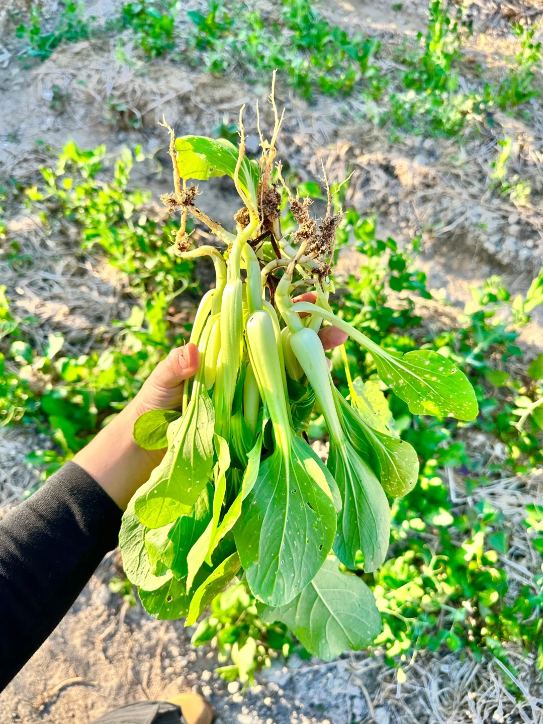 大自然的馈赠???????️