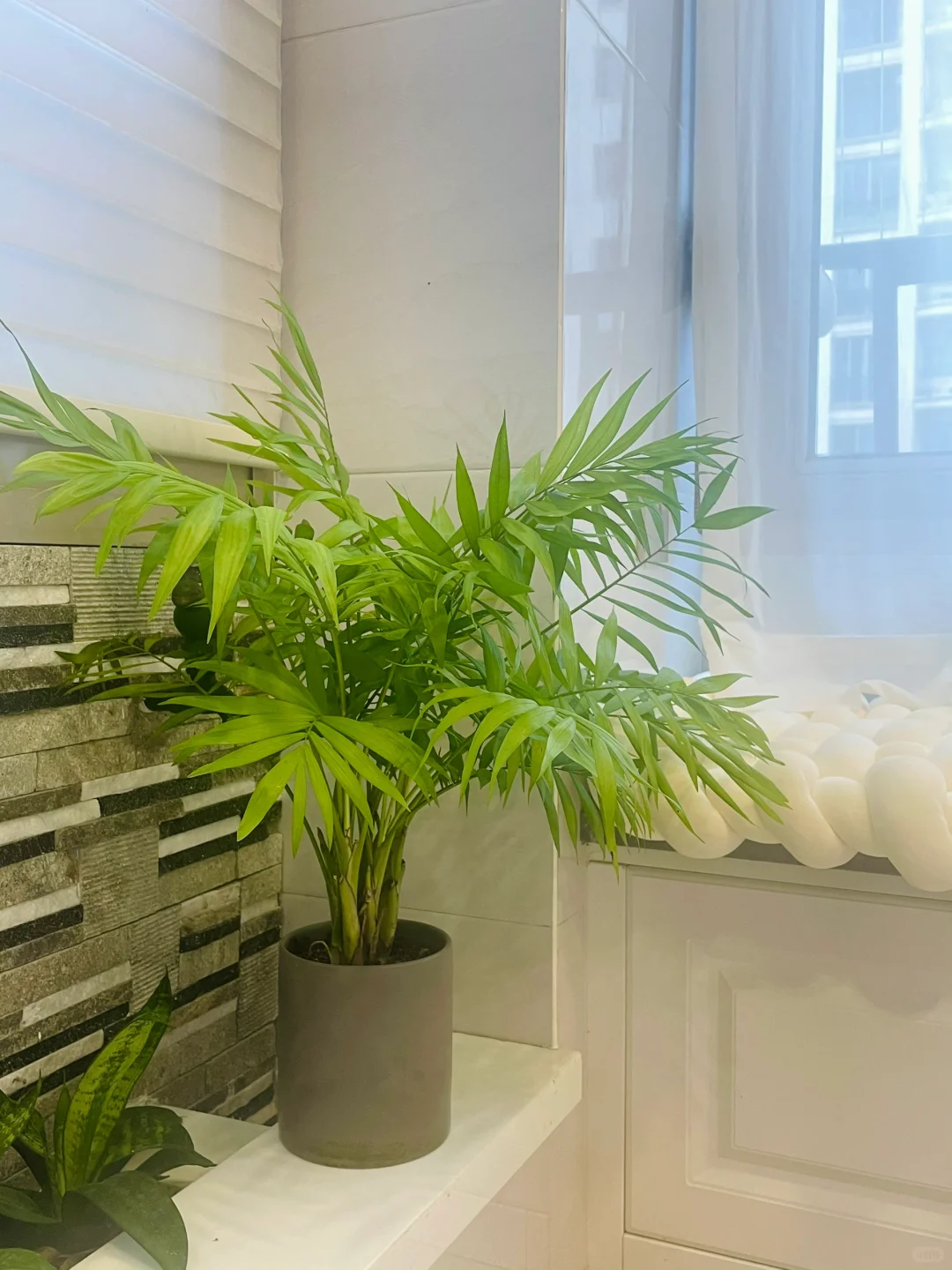 熬大夜选的软装们?新家软装合集