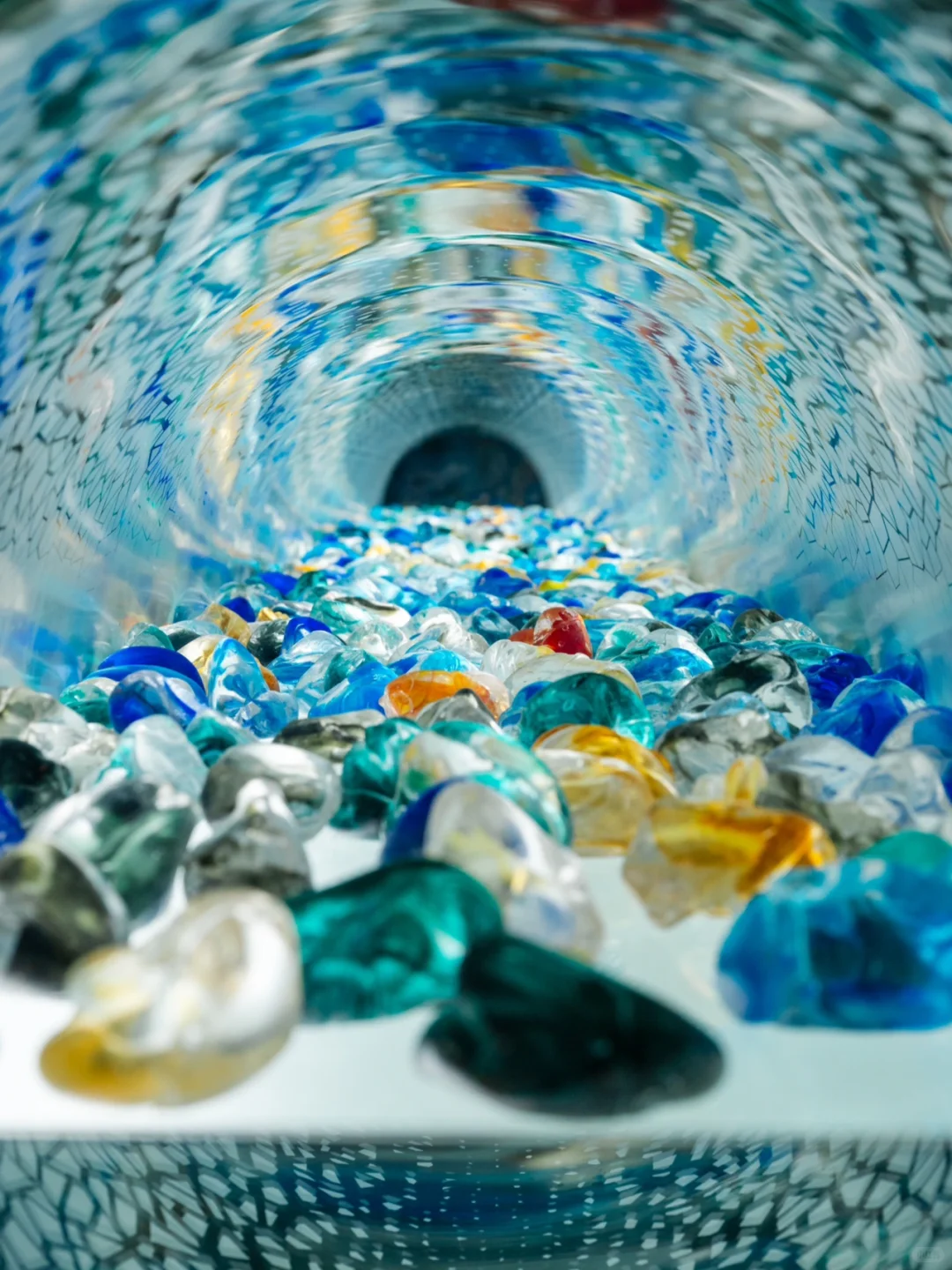 为了看这永不凋零的浪漫，特意来了趟淄博！