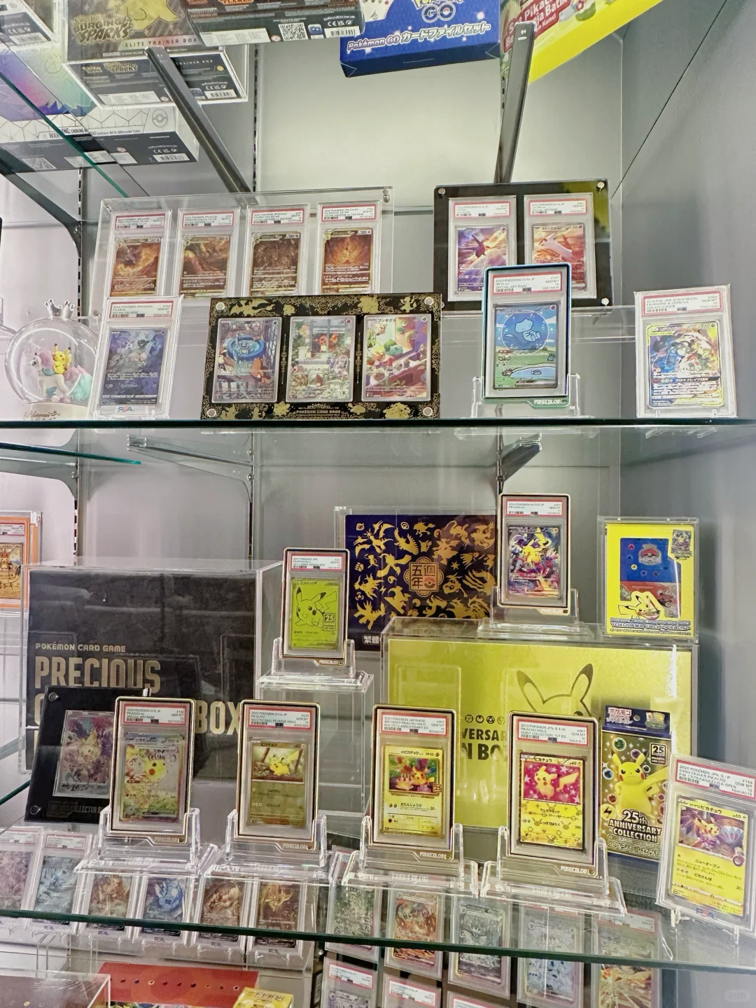 入坑宝可梦卡牌9个月的柜子长这样?