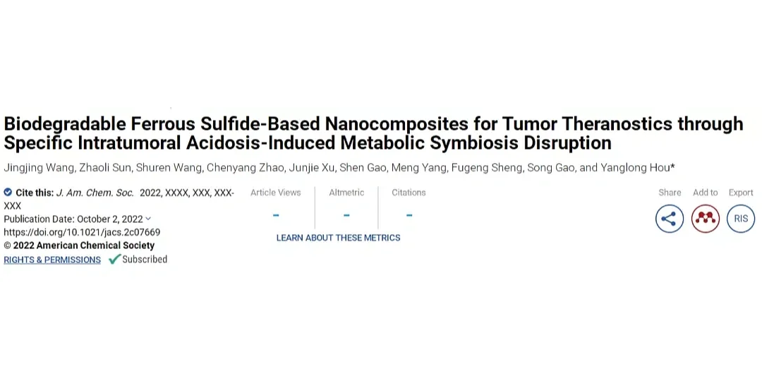 JACS:生物可降解硫化铁基纳米复合材料用于