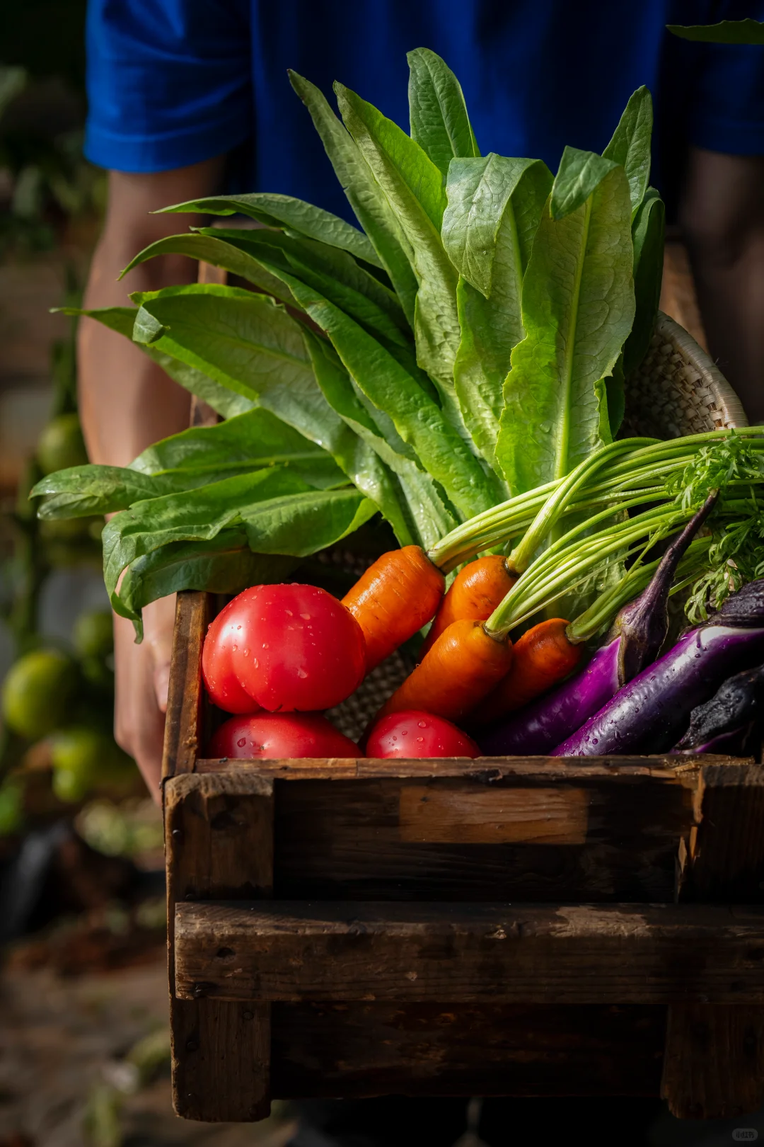 救命！原来随手拍的蔬菜能这么绝！！?