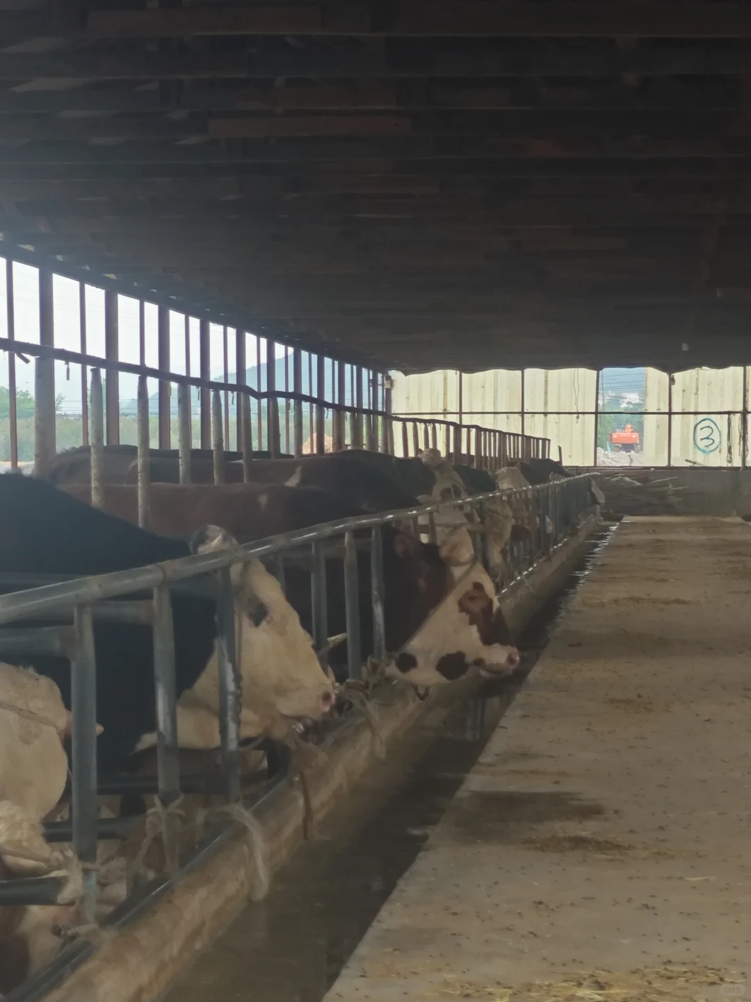 被农户骗太多次后，干脆自己开养殖场?