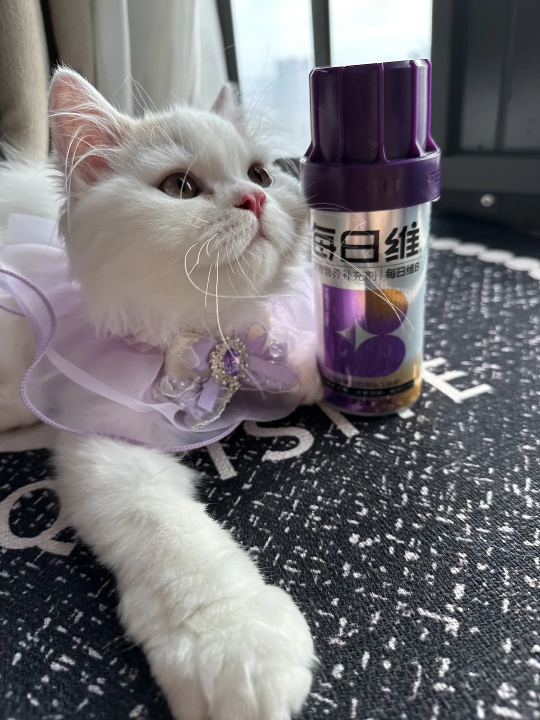 猫咪需要补充维生素b吗