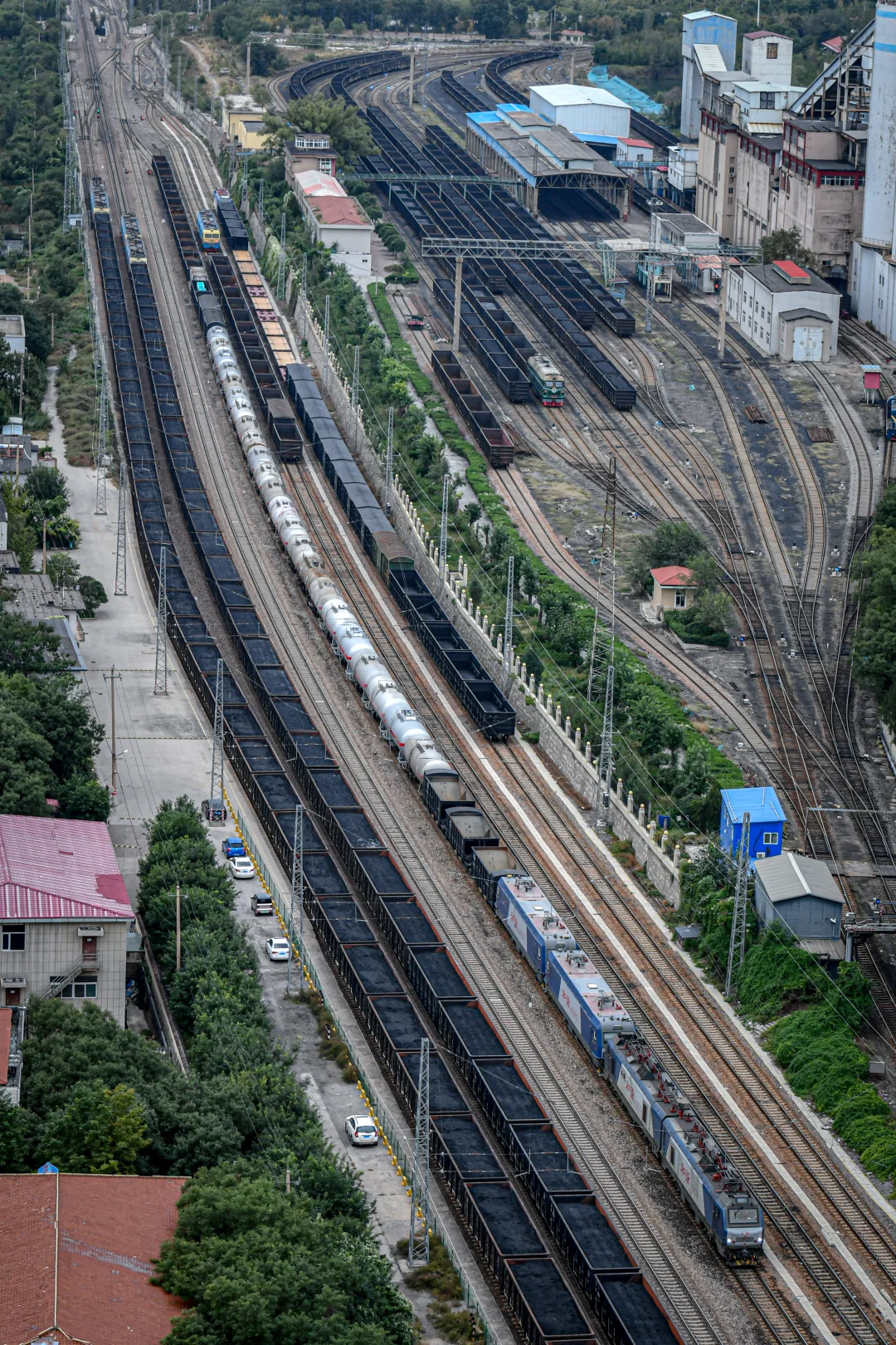 10月对他们的追逐