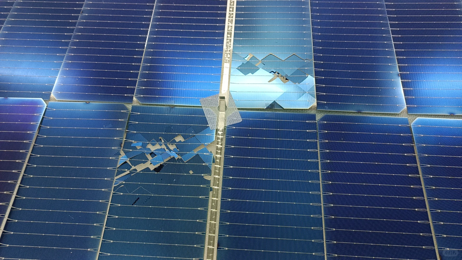 进厂第十六天！