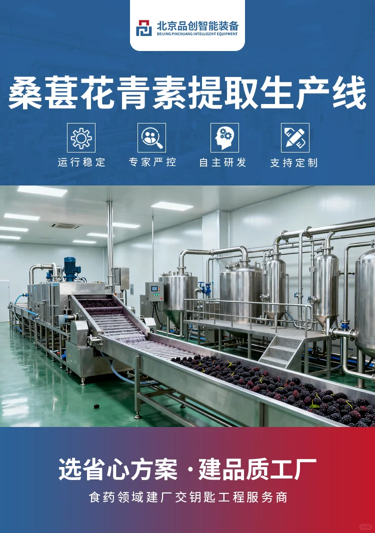 品创智能装备|桑葚花青素提取生产线