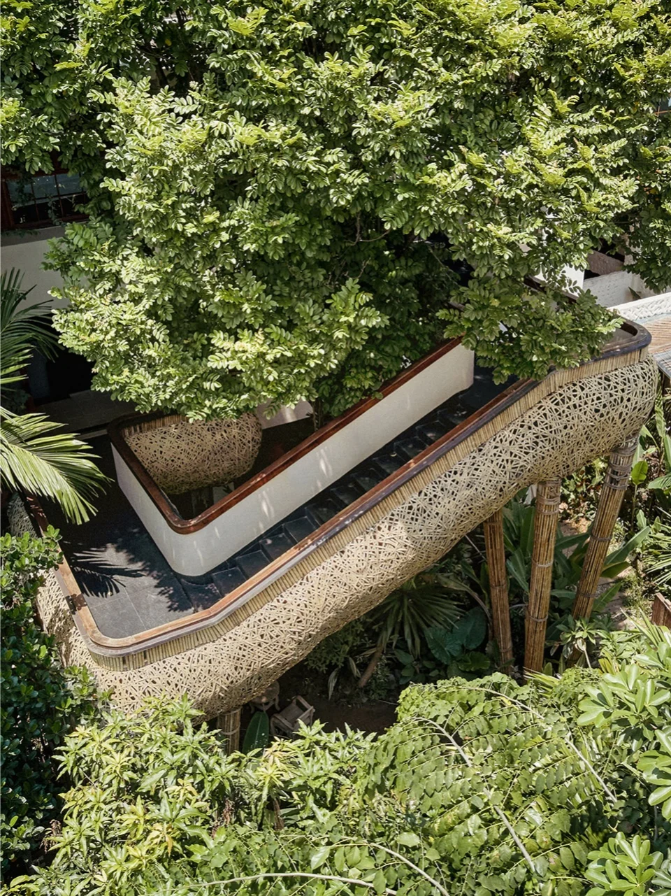 可持续设计趋势|寻竹开物