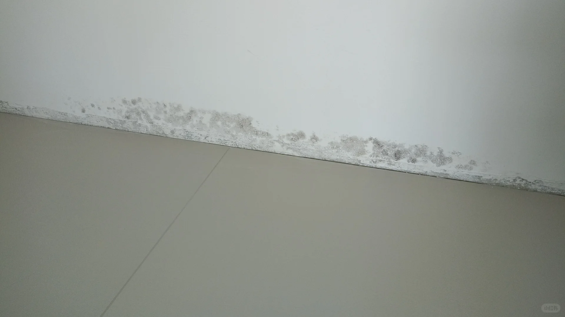 刮腻子千万认准耐水防霉