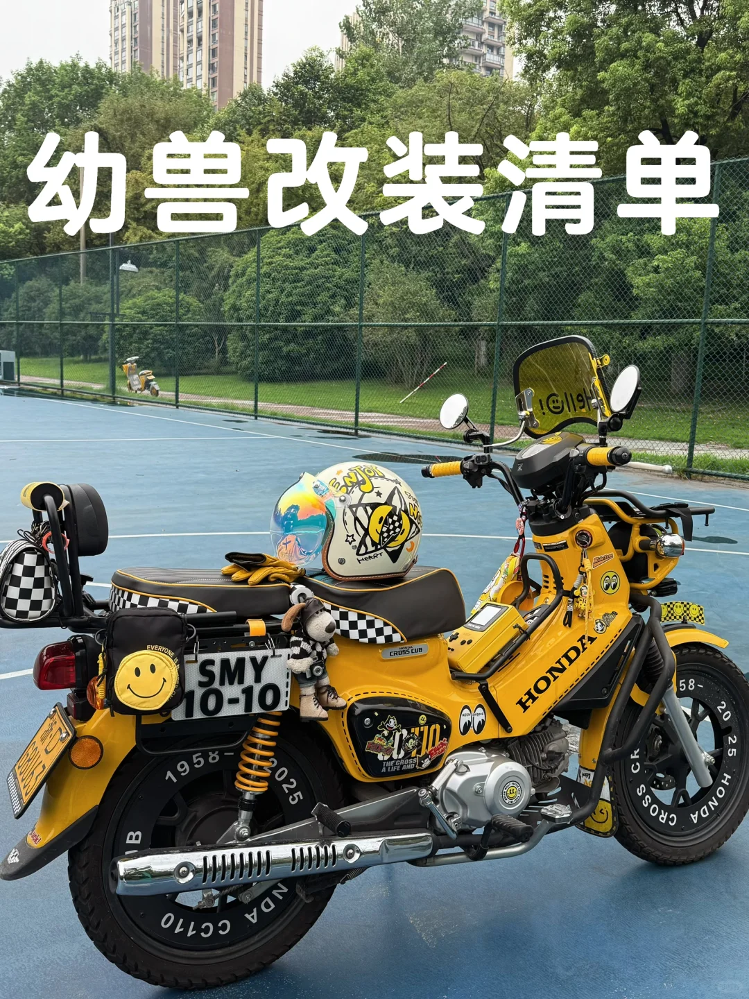 幼兽改装清单！！！！