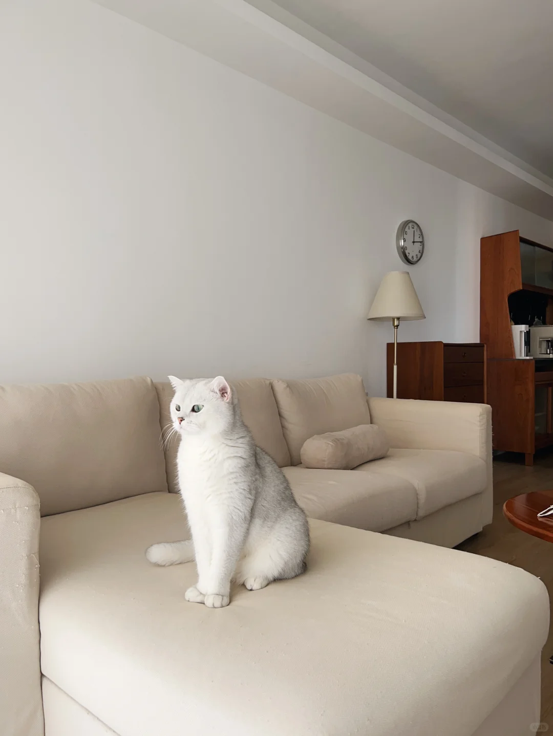 少物真的很方便