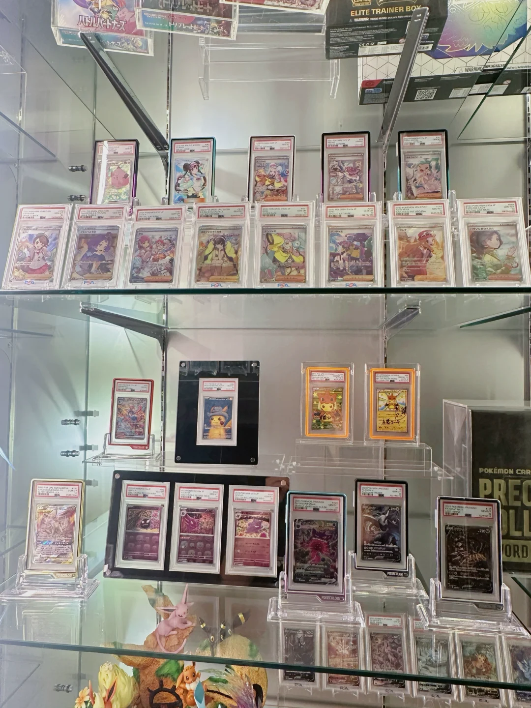 入坑宝可梦卡牌9个月的柜子长这样?